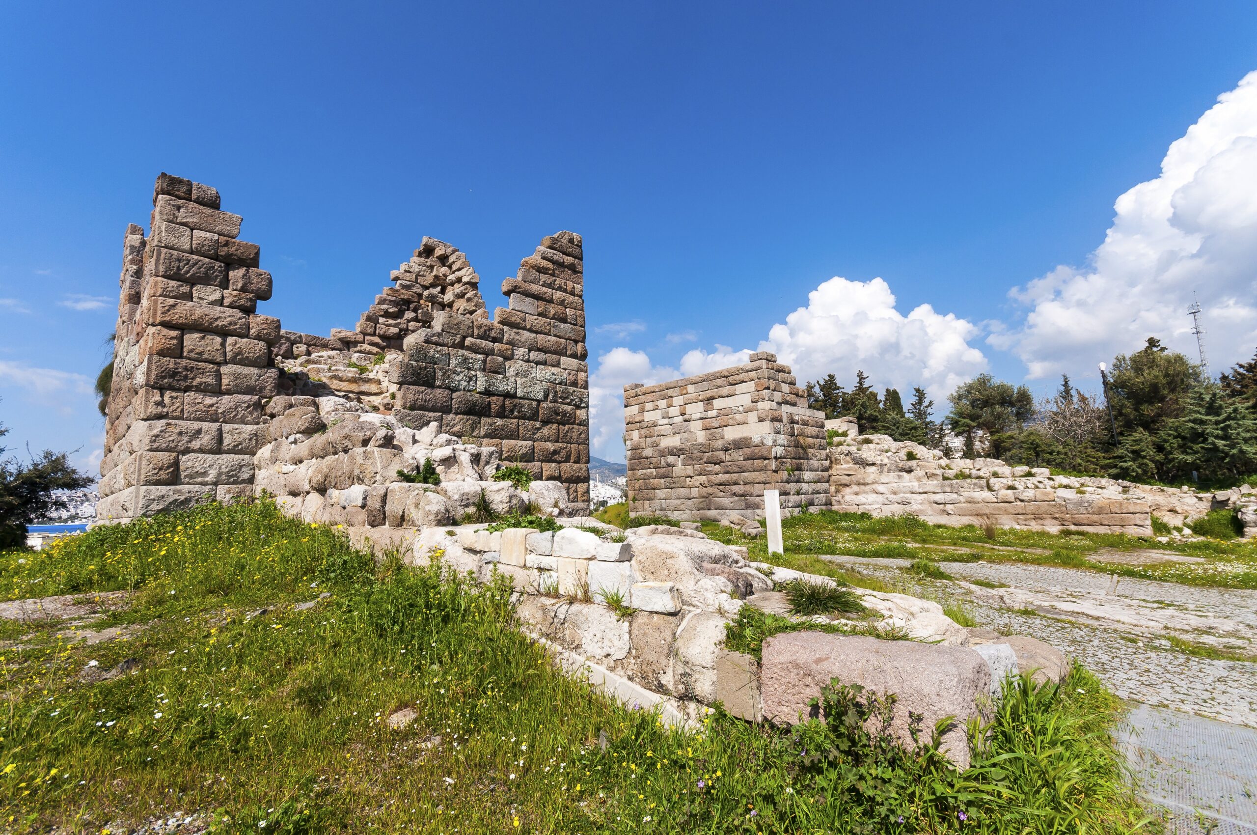 22ae44a3ab040dc71468dc11a8bca890