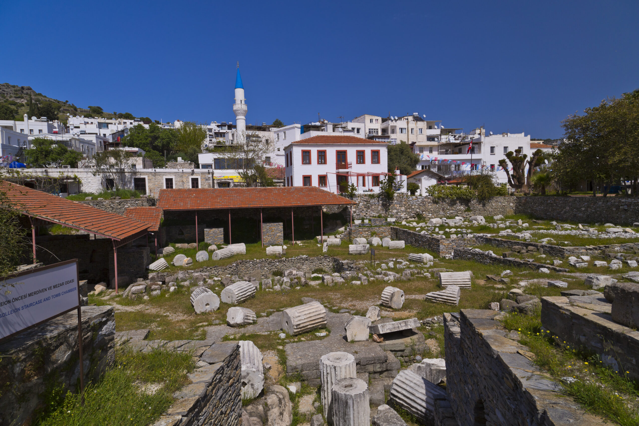 onaangepast_Halicarnassus