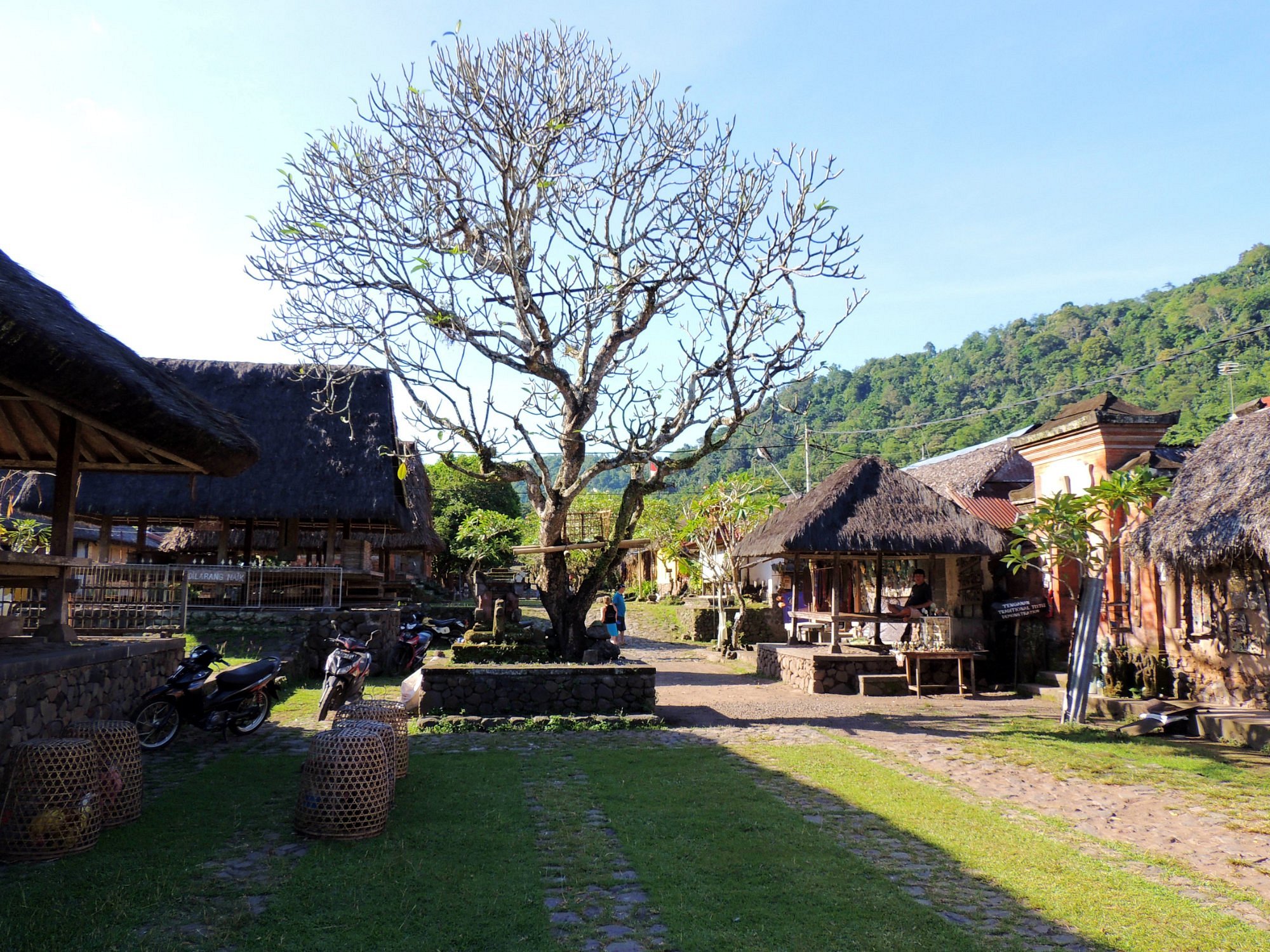 Tenganan Ancient Village