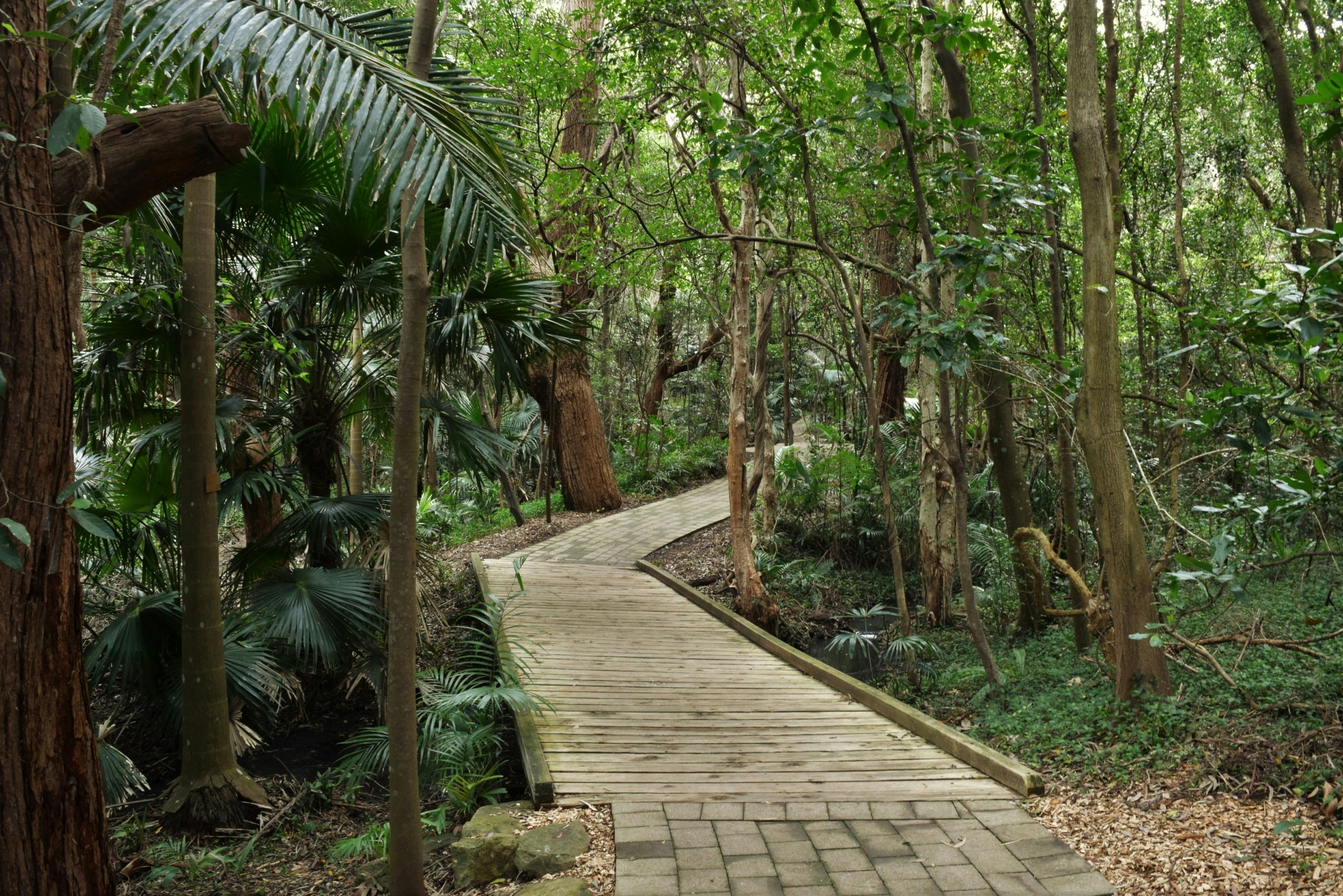 Ubud Monkey Forest2